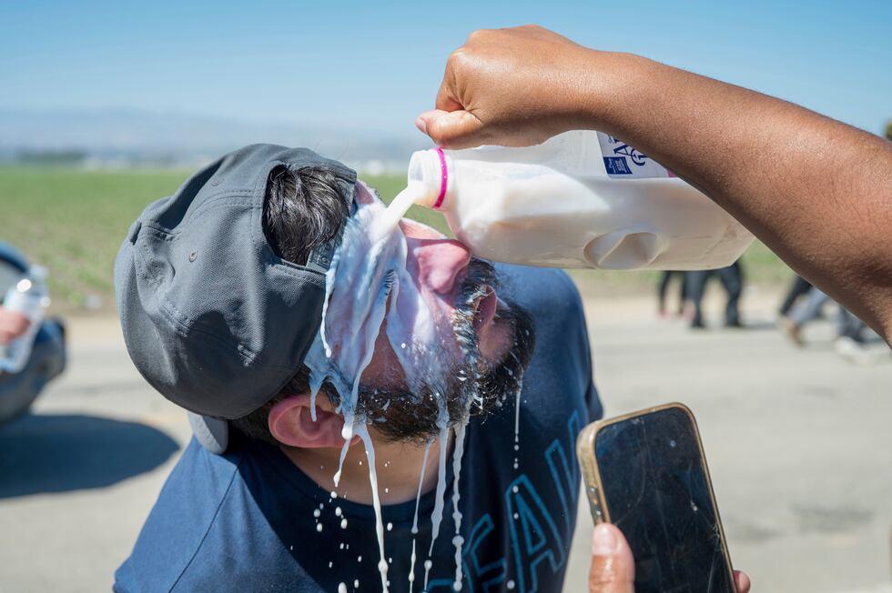 Una persona arroja leche sobre el rostro de un manifestante después de que agentes federales...