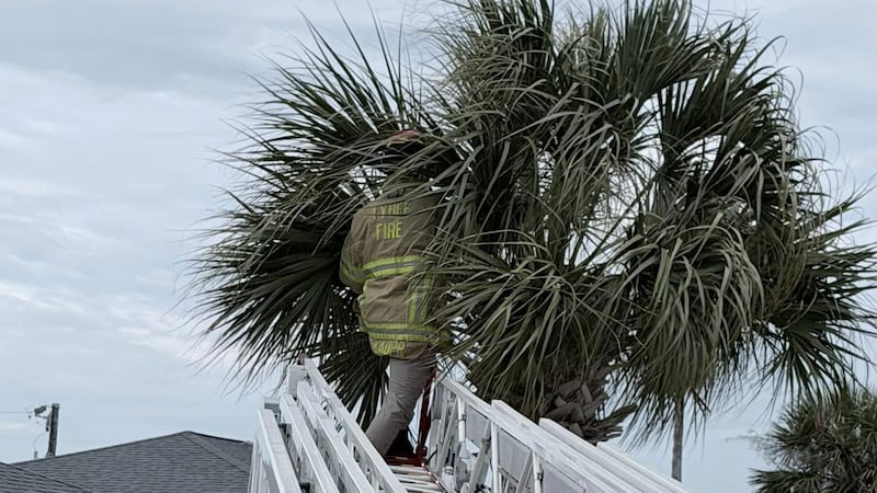 Rescate en las alturas con un final feliz en Tybee Island.