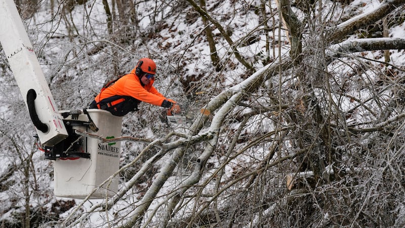 Austin Bradbury utiliza una motosierra para cortar una rama de un árbol sobre una carretera,...