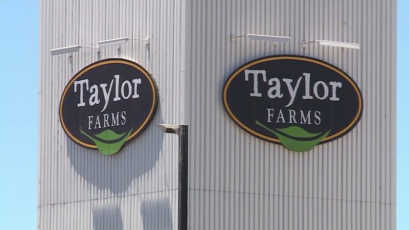 taylor farms