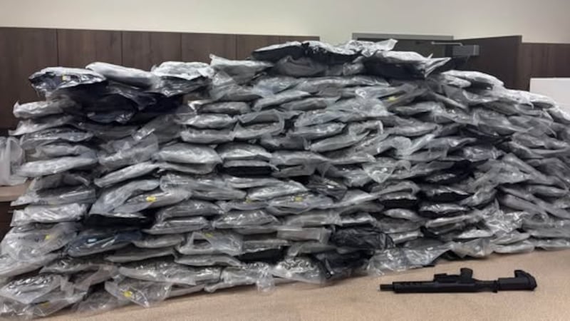 Laurens County investigators said they seized over 200 pounds of marijuana.