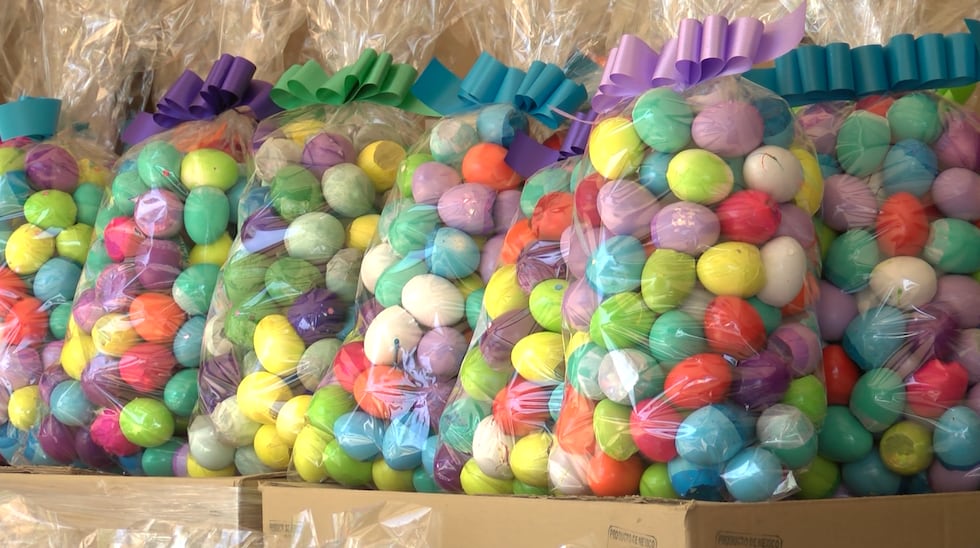 La operación maneja aproximadamente 100,000 cascarones, empaquetados en bolsas de 100 huevos...