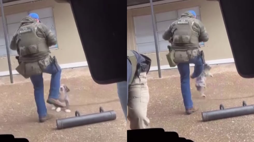 Los videos que circulan en las redes sociales y que muestran a un agente del Grupo de Trabajo...