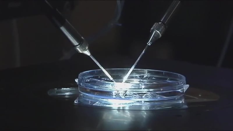 Pareja demanda a clínica de fertilidad. Alegan que su bebé recién nacida presentaba rasgos...