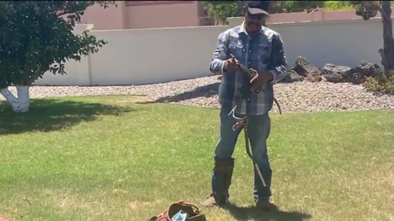 Muere padre hispano de cinco hijos luego que hojas secas de una palma le cayeran encima...