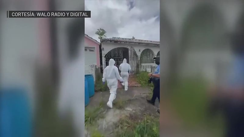 Hallan cadáver en avanzada descomposición. Vecinos creen que la mujer planificó su propia...